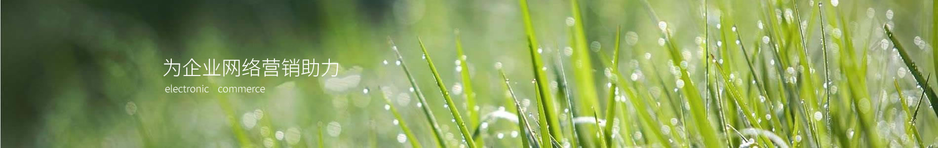 ںﺽģ޹˾